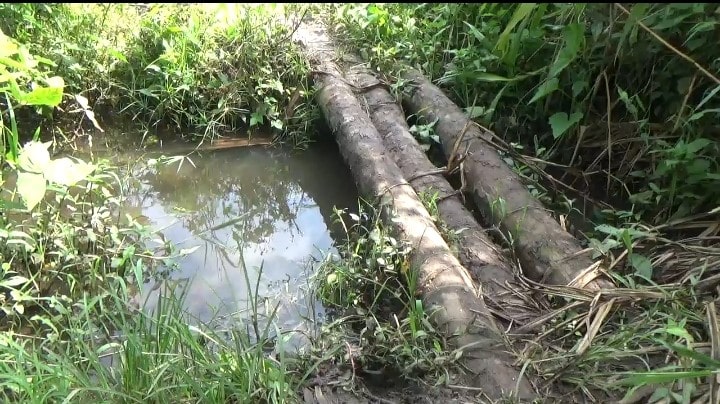 The stream where residents get their water now. This is the only source of water